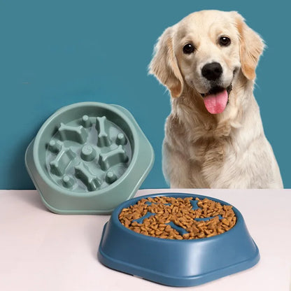 Luma Slow Feeder Bowl – Prevents Bloating & Improves Digestion