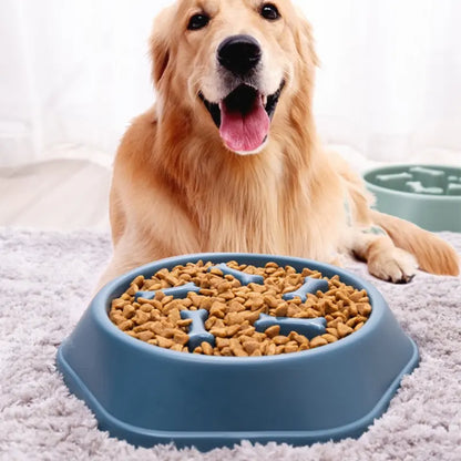 Luma Slow Feeder Bowl – Prevents Bloating & Improves Digestion