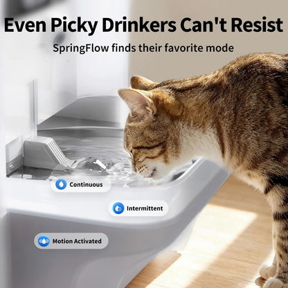 EverSweet Ultra with Camera Pet Water Fountain